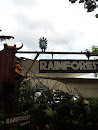 Rain Forest Fights Back