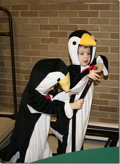 penguins
