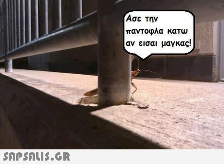Ασε Την παντοφλα κατω αν εισαι μαγκας! 