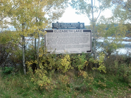 Elizabeth Lake 