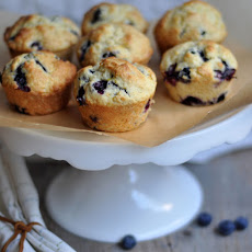 Blueberry Buttermilk Muffins