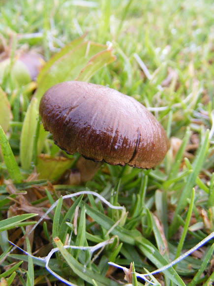 Spotting Image 1