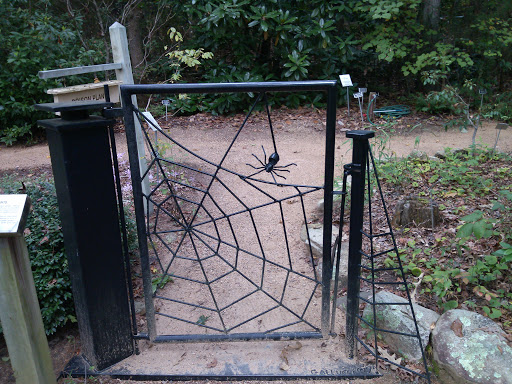 Spider Gateway