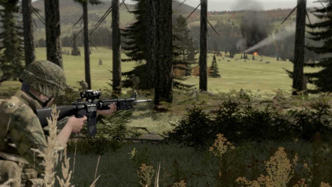 ArmA II