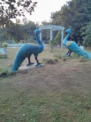 The Twin Peacock Monument