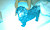 User profile picture thumbnail
