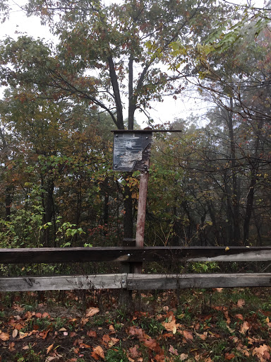 Rotten Wood Sign 