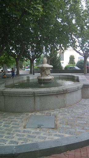 Pardo Fountain