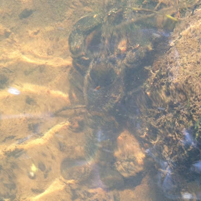 Help Image 3