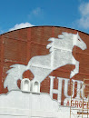 Mural Mustang 