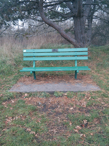 Taylor Ann Hlansy Memorial Bench