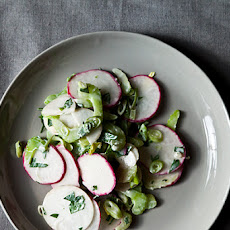 Crunchy Celery, Radishes and Turnips Salad-Slaw in Blue Cheese Sauce