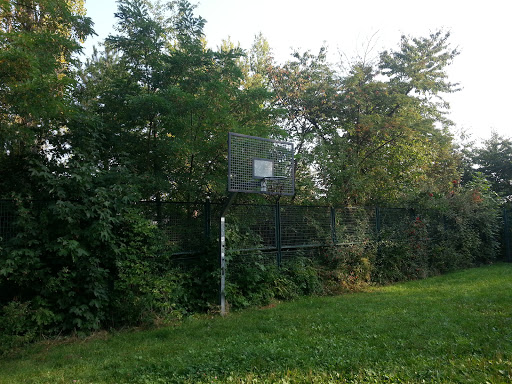 Wiesenbasketball