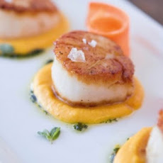 Scallops With Carrot Cream And Marjoram Recipe