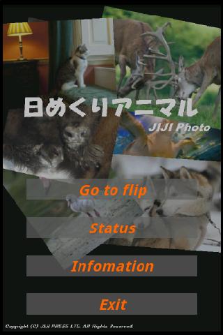 JIJI Photo 日めくりアニマル