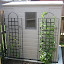 Ceae's Backyard garden