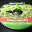 Parsley