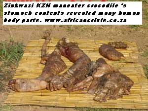 [CrocodileHumanRemains[1].jpg]