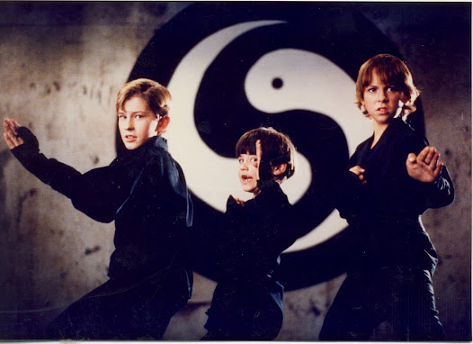1992 3 Ninjas