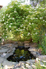 DSC_6777.JPG