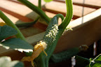 DSC_6793.JPG