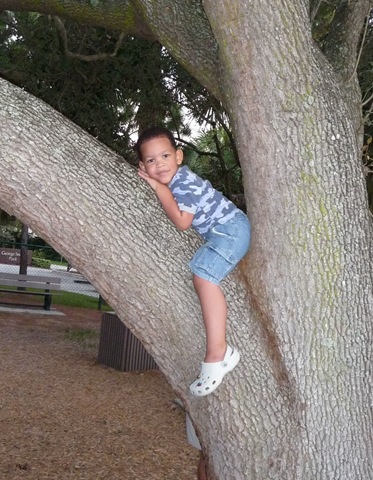 [Oak tree leaning[30].jpg]