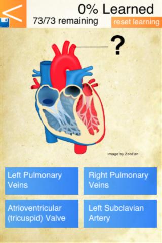 【免費教育App】Anatomy - Circulatory System-APP點子