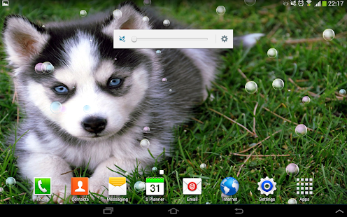 How to mod Playful Puppies Live Wallpaper 1.7.2 mod apk for android