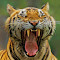 _MG_9492pix.jpg