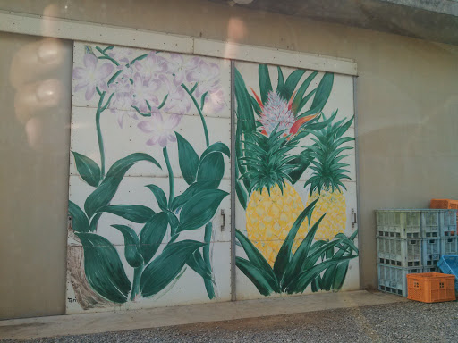 Flower And Pineapples