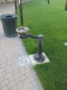 Awesome Water Fountain