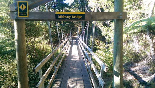Orongorongo Track Midway Bridge