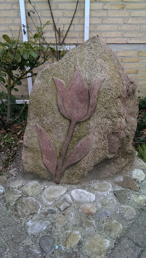 Tulipanstenen