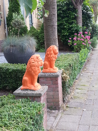 The Orange Lions