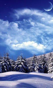How to download Winter Live Wallpaper 15.0 apk for pc