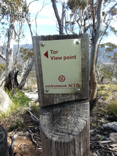 Tor View Point