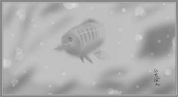 The Fish Tank