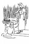 images_006 images_006