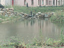 Fish Statue in Pond