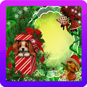 Xmas Photo Frames.apk 1.0