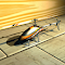 hack de RC Helicopter Simulation gratuit télécharger