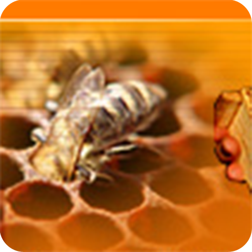 Beekeeping: Learn How to Keep LOGO-APP點子