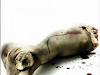 Boxset Saw  El Juego Del Miedo I  Vi