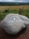 Cumbernauld Jubilee Wood