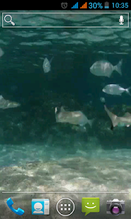 How to mod SHARKS LIVE WALLPAPER 1.0 apk for laptop