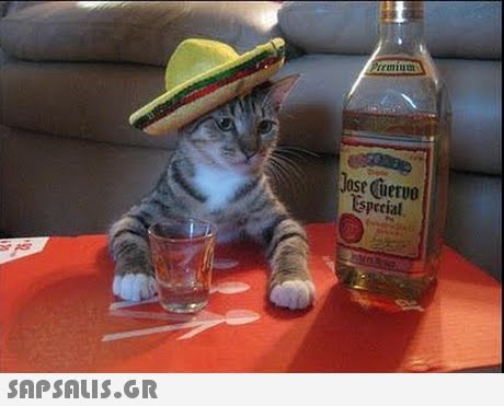 Uum Jose Cuerve Especial 