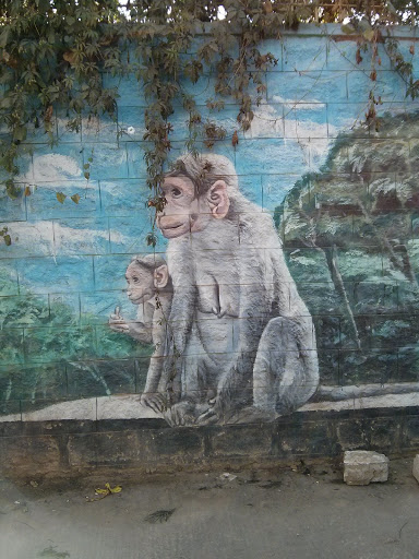 White Monkeys Wall Mural