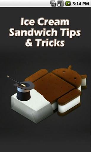 Ice Cream Sandwich Tips