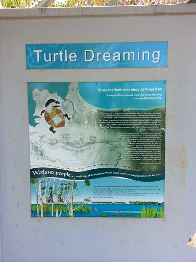 Turtle Dreaming Art