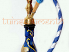 Narguile Shisha Tabaco Carbones